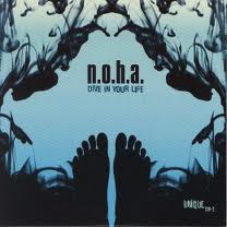 noha - dive in your life